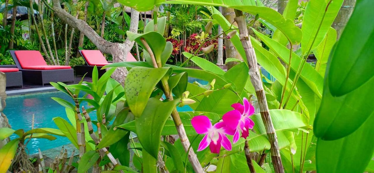 Bali Harmony Villa Убуд Екстер'єр фото